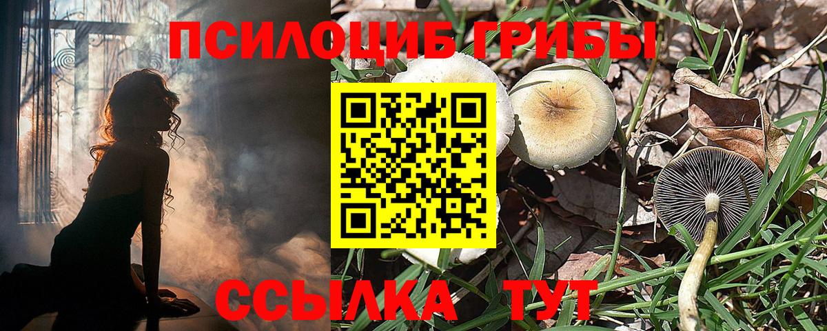 Галлюциногенные грибы ЛСД Ялта
