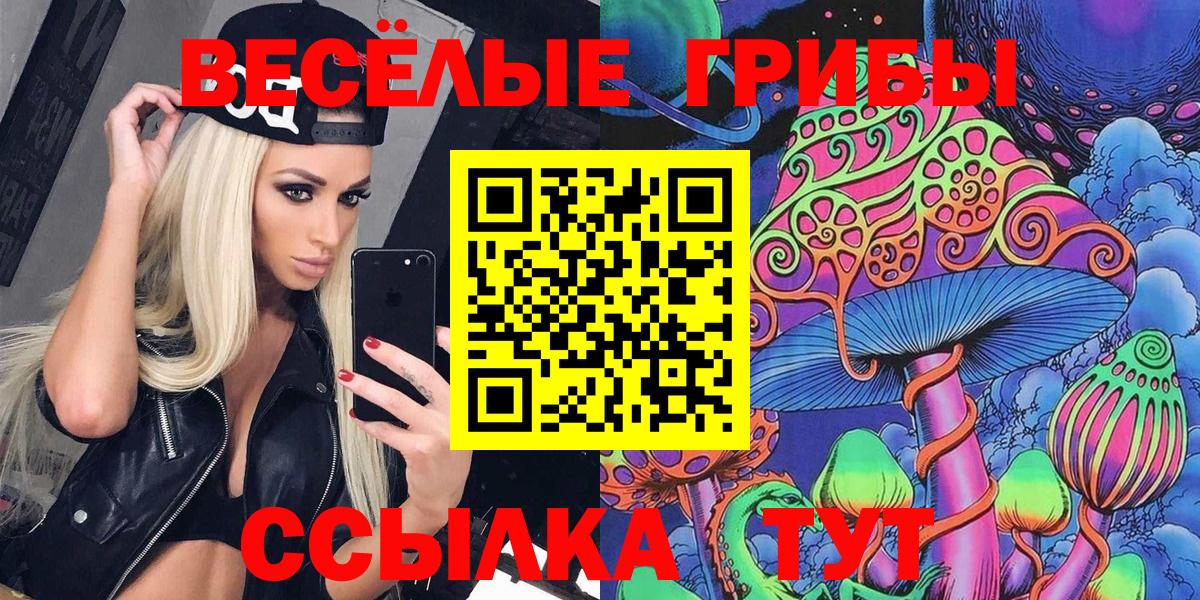Галлюциногенные грибы прущие грибы  Вход с VPN  Ялта 